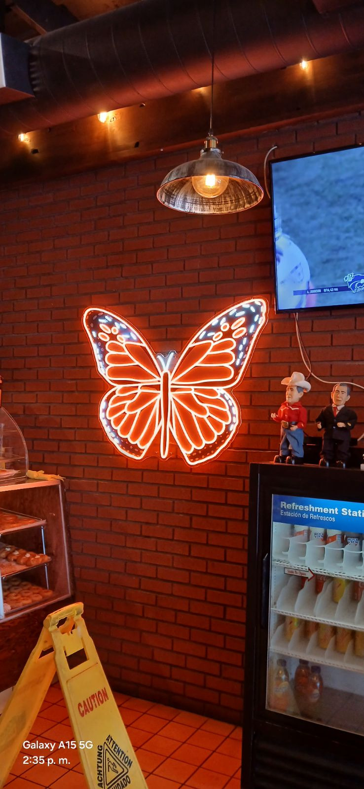 butterfly 2